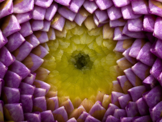 427119 (a): :1600x1200